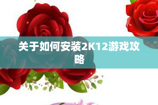 关于如何安装2K12游戏攻略图片