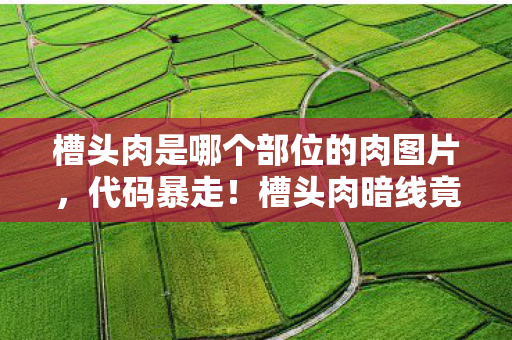 槽头肉是哪个部位的肉图片，代码暴走！槽头肉暗线竟是AI叛乱中枢？头皮发麻的赛博肉刑真相