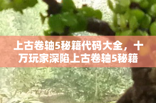 上古卷轴5秘籍代码大全，十万玩家深陷上古卷轴5秘籍谜团，真相揭晓瞬间集体破防！