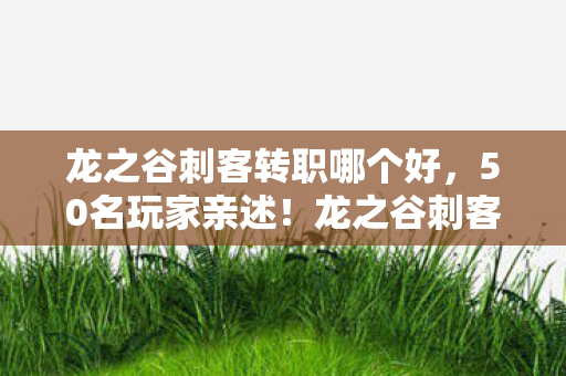 龙之谷刺客转职哪个好，50名玩家亲述！龙之谷刺客新技能竟藏致命BUG？网吧大神听完直接绷不住了