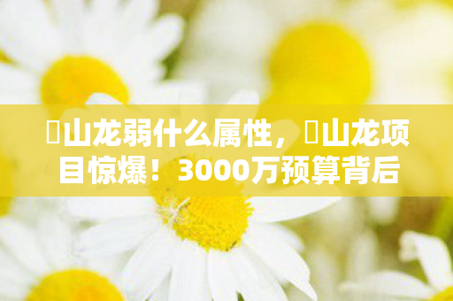 峯山龙弱什么属性，峯山龙项目惊爆！3000万预算背后隐情，结果让人吓一跳！