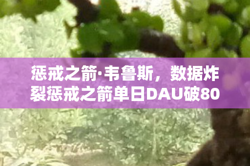 惩戒之箭·韦鲁斯，数据炸裂惩戒之箭单日DAU破800万！MOBA寒冬里这支箭射穿了行业认知
