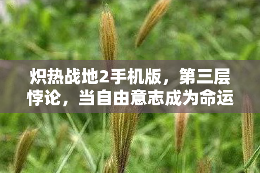 炽热战地2手机版,第三层悖论,当自由意志成为命运牢笼的钥匙 炽热战地2手机版,第三层悖论,当自由意志成为命运牢笼的钥匙