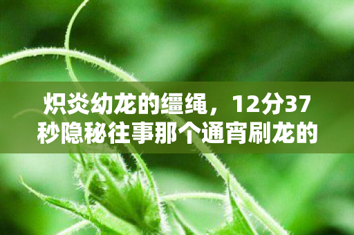 炽炎幼龙的缰绳,12分37秒隐秘往事那个通宵刷龙的夜晚,我哽咽着删掉了好友列表 炽炎幼龙的缰绳,12分37秒隐秘往事那个通宵刷龙的夜晚,我哽咽着删掉了好友列表