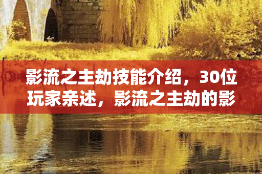 影流之主劫技能介绍,30位玩家亲述,影流之主劫的影子分身术竟藏惊天疑点?采访者当场绷不住! 影流之主劫技能介绍,30位玩家亲述,影流之主劫的影子分身术竟藏惊天疑点?采访者当场绷不住!