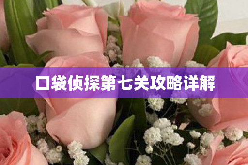 口袋侦探第七关攻略详解图片