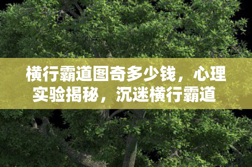 横行霸道图奇多少钱，心理实验揭秘，沉迷横行霸道 图奇六年，细思极恐的自我麻醉