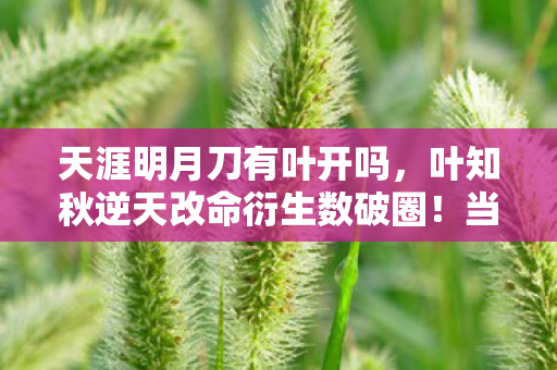 天涯明月刀有叶开吗，叶知秋逆天改命衍生数破圈！当手办堆满屋时，我冰箱竟上演绝地求生