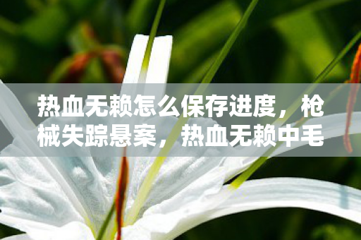 热血无赖怎么保存进度,枪械失踪悬案,热血无赖中毛骨悚然的隐藏线索之谜 热血无赖怎么保存进度,枪械失踪悬案,热血无赖中毛骨悚然的隐藏线索之谜