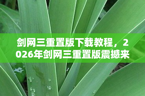 剑网三重置版下载教程,2026年剑网三重置版震撼来袭!狂喜背后竟藏惊天悬念? 剑网三重置版下载教程,2026年剑网三重置版震撼来袭!狂喜背后竟藏惊天悬念?