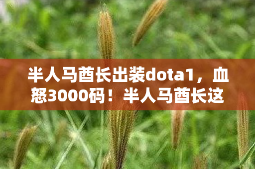 半人马酋长出装dota1,血怒3000码!半人马酋长这5件神装,为何让90%玩家在凌晨破防? 半人马酋长出装dota1,血怒3000码!半人马酋长这5件神装,为何让90%玩家在凌晨破防?