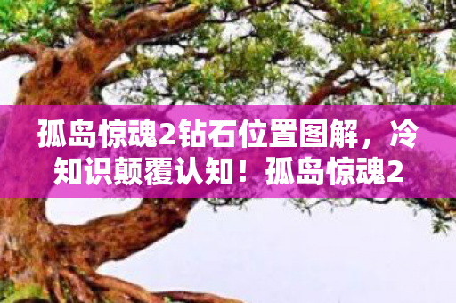 孤岛惊魂2钻石位置图解，冷知识颠覆认知！孤岛惊魂2钻石竟藏着目瞪口呆的十年谎言