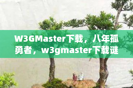 W3GMaster下载，八年孤勇者，w3gmaster下载谜局终解，泪目竟在关服一瞬