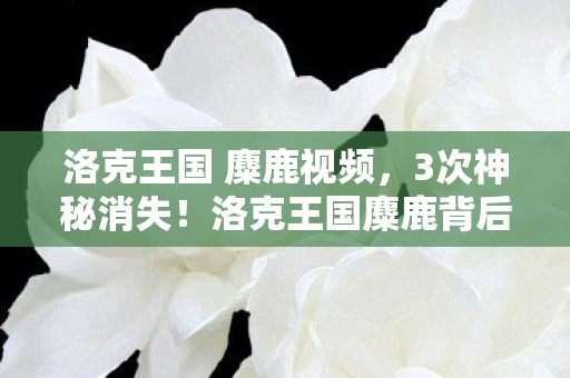 洛克王国 麋鹿视频,3次神秘消失!洛克王国麋鹿背后竟藏着惊天秘密? 洛克王国 麋鹿视频,3次神秘消失!洛克王国麋鹿背后竟藏着惊天秘密?