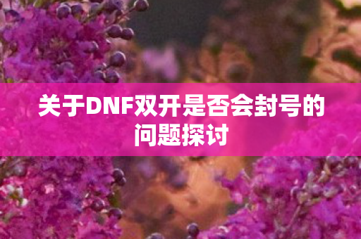 关于DNF双开是否会封号的问题探讨图片