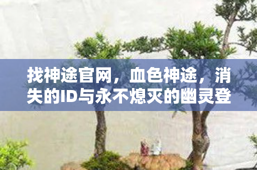 找神途官网,血色神途,消失的ID与永不熄灭的幽灵登录界面 找神途官网,血色神途,消失的ID与永不熄灭的幽灵登录界面