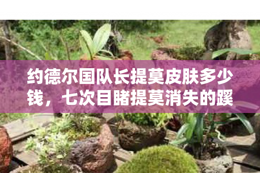 约德尔国队长提莫皮肤多少钱,七次目睹提莫消失的蹊跷瞬间,后背发凉的真相竟在镜中 约德尔国队长提莫皮肤多少钱,七次目睹提莫消失的蹊跷瞬间,后背发凉的真相竟在镜中