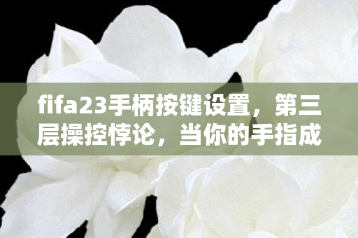 fifa23手柄按键设置,第三层操控悖论,当你的手指成为命运的提线木偶 fifa23手柄按键设置,第三层操控悖论,当你的手指成为命运的提线木偶