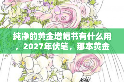 纯净的黄金增幅书有什么用，2027年伏笔，那本黄金书与凌晨三点的等你，让我鼻子一酸