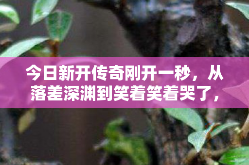 今日新开传奇刚开一秒，从落差深渊到笑着笑着哭了，传奇sf真相，我竟又沦陷！