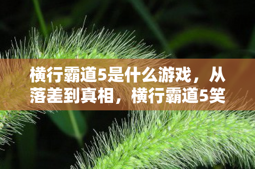 横行霸道5是什么游戏，从落差到真相，横行霸道5笑着笑着，我竟被自己蠢哭了