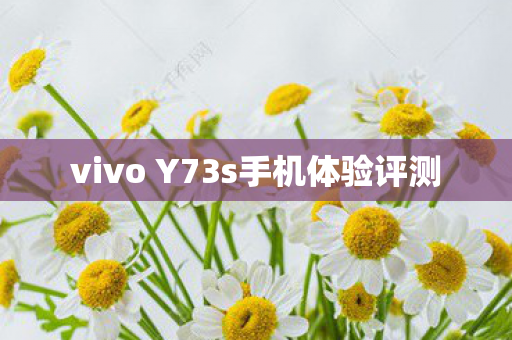 vivo Y73s手机体验评测图片