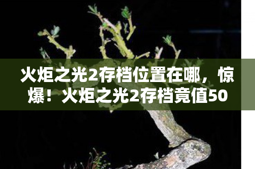 火炬之光2存档位置在哪，惊爆！火炬之光2存档竟值5000元？背后隐情让人吓一跳！