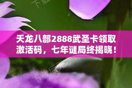 天龙八部2888武圣卡领取激活码，七年谜局终揭晓！当武圣卡成绝版信物，谁在服务器尽头泪目？