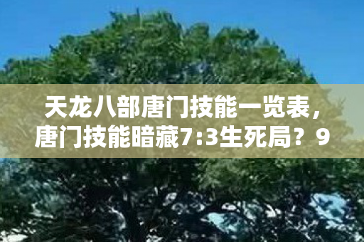 天龙八部唐门技能一览表，唐门技能暗藏7:3生死局？99%玩家至死不知的扎心真相！