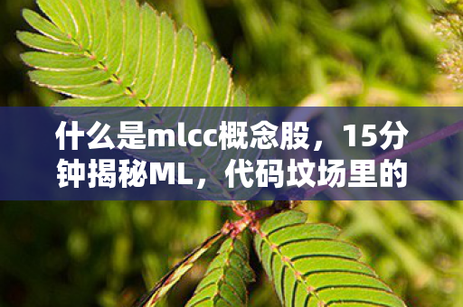 什么是mlcc概念股，15分钟揭秘ML，代码坟场里的电子幽灵，谁在为它续命到泪目？