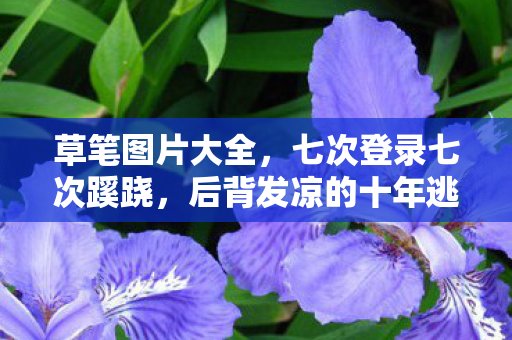 草笔图片大全,七次登录七次蹊跷,后背发凉的十年逃亡真相 草笔图片大全,七次登录七次蹊跷,后背发凉的十年逃亡真相
