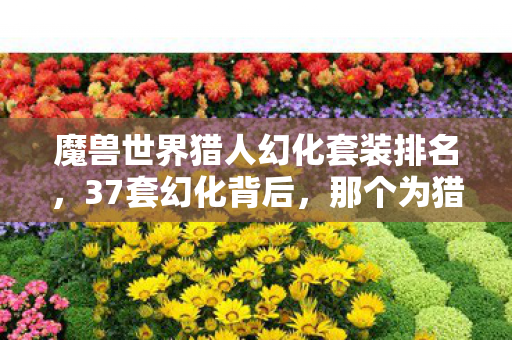 魔兽世界猎人幻化套装排名，37套幻化背后，那个为猎人痴狂7年的神秘人，究竟经历了什么？