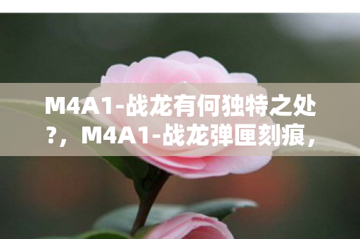 M4A1-战龙有何独特之处?,M4A1-战龙弹匣刻痕,2027年电竞馆失踪案与永不熄灭的准星 M4A1-战龙有何独特之处?,M4A1-战龙弹匣刻痕,2027年电竞馆失踪案与永不熄灭的准星
