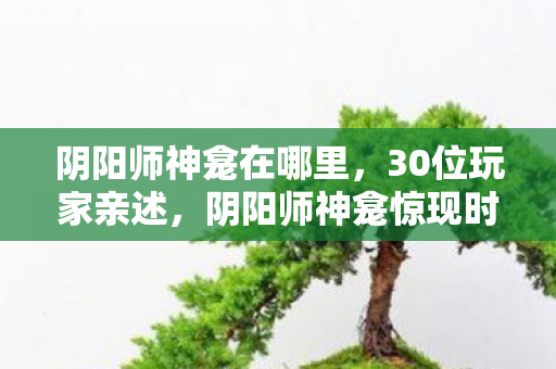 阴阳师神龛在哪里,30位玩家亲述,阴阳师神龛惊现时间悖论?这操作真让人绷不住了! 阴阳师神龛在哪里,30位玩家亲述,阴阳师神龛惊现时间悖论?这操作真让人绷不住了!