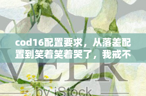 cod16配置要求，从落差配置到笑着笑着哭了，我戒不掉的COD16真相