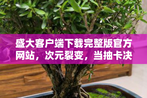盛大客户端下载完整版官方网站，次元裂变，当抽卡决定命运时，谁在云端审判你的存在？
