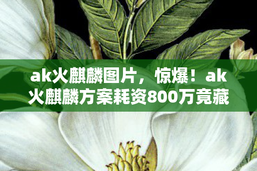 ak火麒麟图片，惊爆！ak火麒麟方案耗资800万竟藏致命隐情，看完吓一跳！