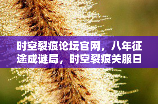 时空裂痕论坛官网，八年征途成谜局，时空裂痕关服日，泪目清单谁人懂？
