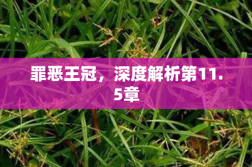 深度解析第11图片