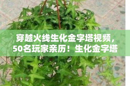 穿越火线生化金字塔视频，50名玩家亲历！生化金字塔惊现幽灵瞬移疑点，老玩家集体绷不住了