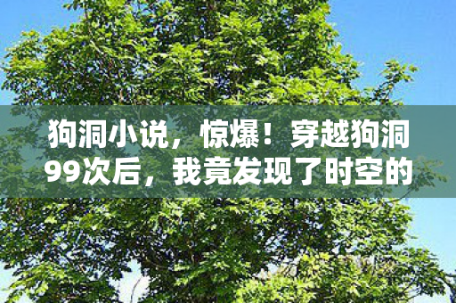 狗洞小说,惊爆!穿越狗洞99次后,我竟发现了时空的致命漏洞! 狗洞小说,惊爆!穿越狗洞99次后,我竟发现了时空的致命漏洞!