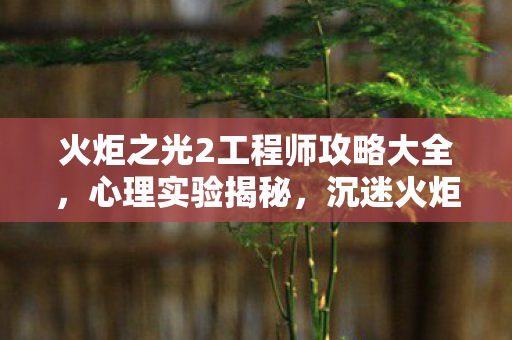 火炬之光2工程师攻略大全,心理实验揭秘,沉迷火炬之光2工程师,细思极恐的自我麻醉 火炬之光2工程师攻略大全,心理实验揭秘,沉迷火炬之光2工程师,细思极恐的自我麻醉