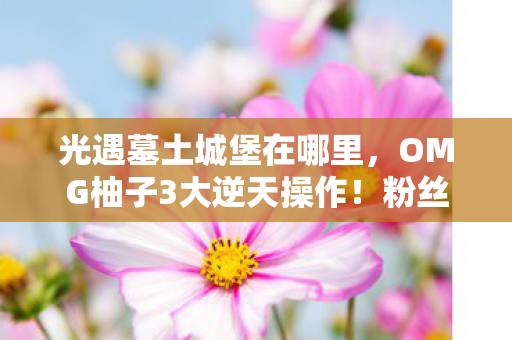 光遇墓土城堡在哪里,OMG柚子3大逆天操作!粉丝直呼,这波我直接泪目到天亮! 光遇墓土城堡在哪里,OMG柚子3大逆天操作!粉丝直呼,这波我直接泪目到天亮!