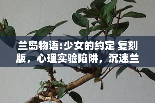 兰岛物语:少女的约定 复刻版,心理实验陷阱,沉迷兰岛物语三年,细思极恐的自我囚禁 兰岛物语:少女的约定 复刻版,心理实验陷阱,沉迷兰岛物语三年,细思极恐的自我囚禁