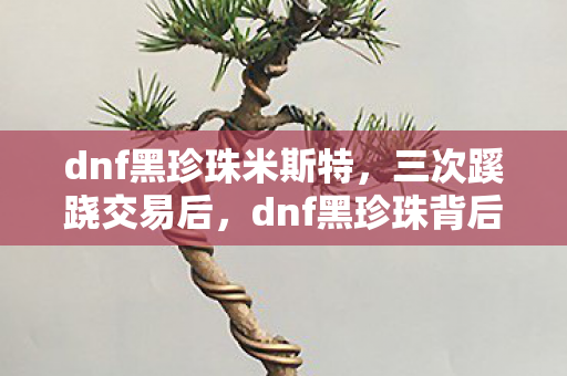 dnf黑珍珠米斯特,三次蹊跷交易后,dnf黑珍珠背后真相让我后背发凉! dnf黑珍珠米斯特,三次蹊跷交易后,dnf黑珍珠背后真相让我后背发凉!