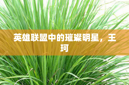 英雄联盟中的璀璨明星图片