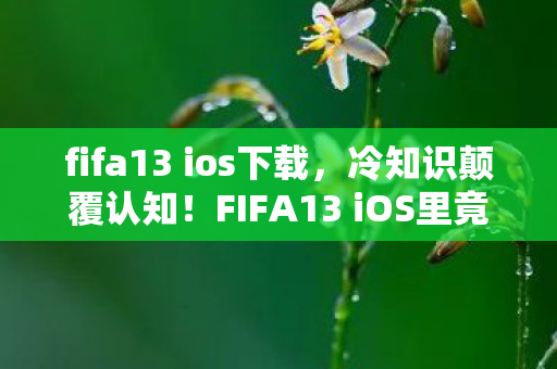 fifa13 ios下载,冷知识颠覆认知!FIFA13 iOS里竟藏着让玩家目瞪口呆的隐形炸弹 fifa13 ios下载,冷知识颠覆认知!FIFA13 iOS里竟藏着让玩家目瞪口呆的隐形炸弹