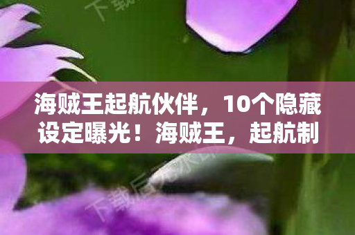海贼王起航伙伴,10个隐藏设定曝光!海贼王,起航制作组藏了8年的惊天秘密 海贼王起航伙伴,10个隐藏设定曝光!海贼王,起航制作组藏了8年的惊天秘密