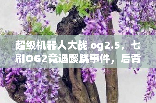 超级机器人大战 og2.5,七刷OG2竟遇蹊跷事件,后背发凉才知被游戏耍了七年 超级机器人大战 og2.5,七刷OG2竟遇蹊跷事件,后背发凉才知被游戏耍了七年