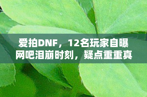 爱拍DNF,12名玩家自曝网吧泪崩时刻,疑点重重真相竟让全员绷不住! 爱拍DNF,12名玩家自曝网吧泪崩时刻,疑点重重真相竟让全员绷不住!